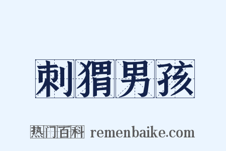 刺猬男孩是什么意思的图片